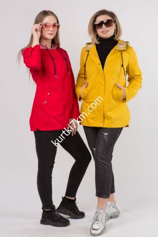 Вітровки жіночі з бавовни 581